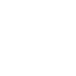 category-icon