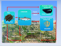 course-preview