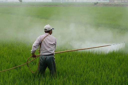 B.sc. Agro-chemical And Pest Control Admission, Registration, Eligibility, Duration, Fees, Syllabus 2024