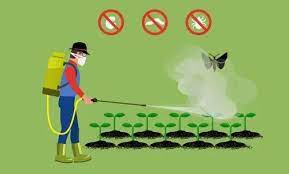 Pest Controller, Introduction, Admission, Registration, Eligibility, Duration, Fees, Syllabus 2024
