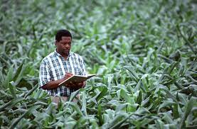 Ph.D In Agricultural Education Introduction, Admission, Registration, Eligibility, Duration, Fees, Syllabus 2024