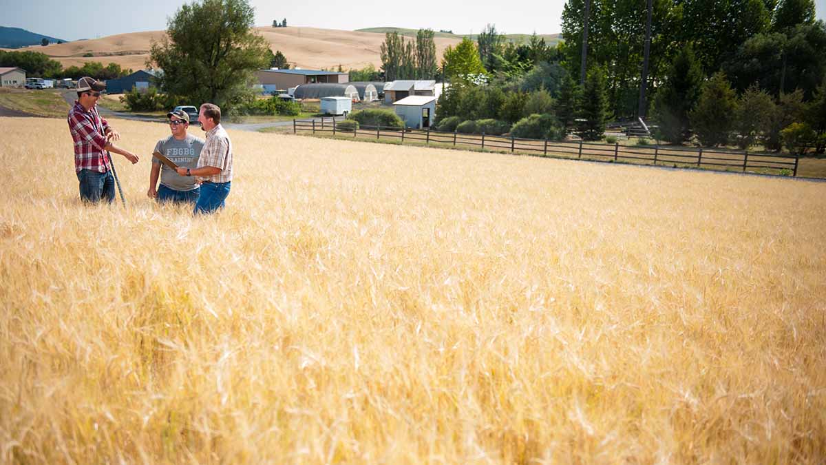 Ph.D. in Agricultural Communication Introduction, Admission, Registration, Eligibility, Duration, Fees, Syllabus 2024