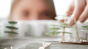 Ph.D. (Society and Development) Introduction, Admission, Registration, Eligibility, Duration, Fees, Syllabus 2024