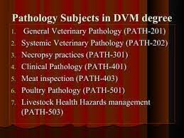 Veterinary Pathology, Introduction, Admission, Registration, Eligibility, Duration, Fees, Syllabus 2024