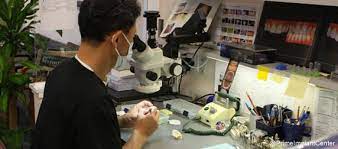 PHD  In (Prosthodontics) Introduction, Admission, Registration, Eligibility, Duration, Fees, Syllabus 2024