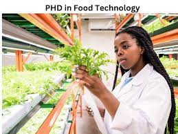 Phd In (Food And Dairy Technology) Introduction, admission, Registration, Eligibility, Duration, Fees, Syllabus 2024