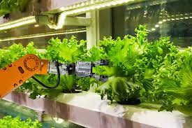 Phd In (Food Biotechnology) Introduction, Admission, Registration, Eligibility, Duration, Fees, Syllabus 2024