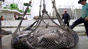 Phd In (Fisheries Economics) Introduction, Admission, Registration, Eligibility, Duration, Fees, Syllabus 2024