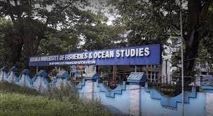 Ph.D In Doctoral Degree Program In Ocean Engineering And Technology, Introduction, Admission, Registration, Eligibility, Duration, Fees, Syllabus 2024