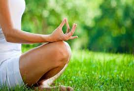 Diploma in Naturopathy & Yogic Sciences Introduction, Admission, Registration, Eligibility, Duration, Fees, Syllabus 2024