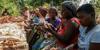 Phd In (Development Studies) Introduction, Admission, Registration, Eligibility, Duration, Fees, Syllabus 2024