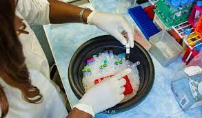 Ph.D. (Bioprocess Technology) Introduction, Admission, Registration, Eligibility, Duration, Fees, Syllabus 2024