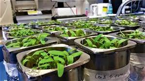 Phd In (Agril. Chemicals / Ag. Chemicals) Introduction, Admission, Registration, Eligibility, Duration, Fees, Syllabus 2024