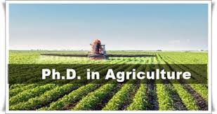 Phd In (Agriculture) Introduction, Admission, Registration, Eligibility, Duration, Fees, Syllabus 2024