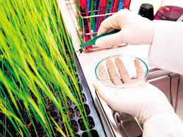Phd In (Agriculture Botany) Introduction, Admission, Registration, Eligibility, Duration, Fees, Syllabus 2024
