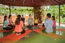 Diploma in yoga teacher Training Introduction, Admission, Registration, Eligibility, Duration, Fees, Syllabus 2024