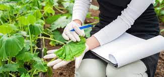 Laboratory Technician (Horticultural) Introduction, Admission, Registration, Eligibility, Duration, Fees, Syllabus 2024