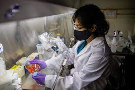 Ph.D. in Cellular & Molecular Oncology, Introduction, Admission Registration, Eligibility, Duration, Fees, Syllabus 2024