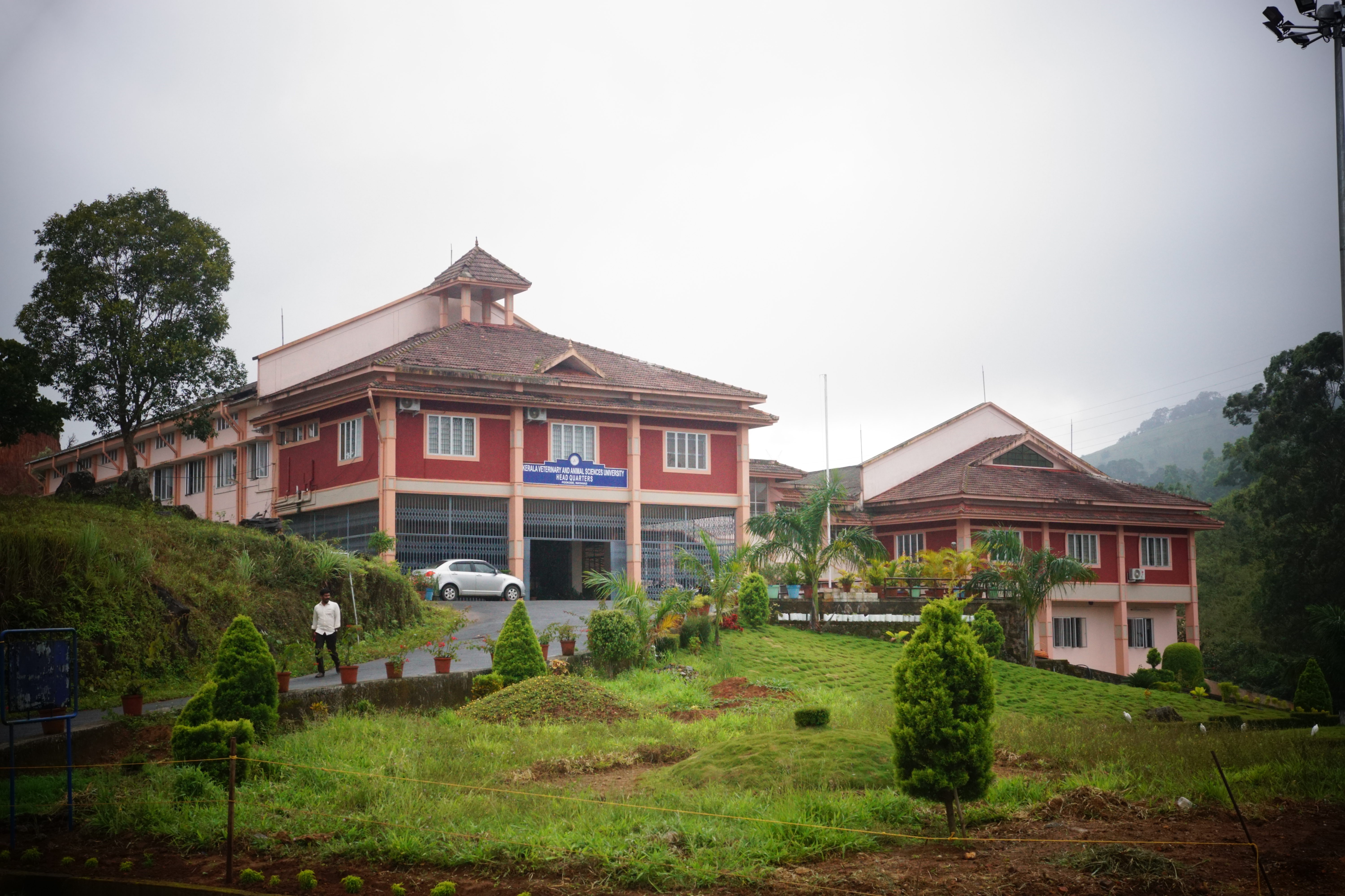 Kerala Veterinary and Animal Sciences University - KVASU, Wayanad, Kerala: About Us, Courses, Eligibility, Fees, Admission, Ranking, Syllabus, Placement 2024