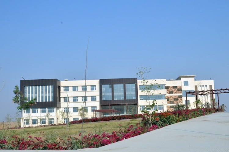 RNB Global University - RNBGU, Bikaner, Rajasthan: About Us, Courses, Eligibility, Fees, Admission, Ranking, Syllabus, Placement 2024